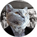 Grzegorz W profile picture