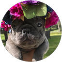 Karolina profile picture